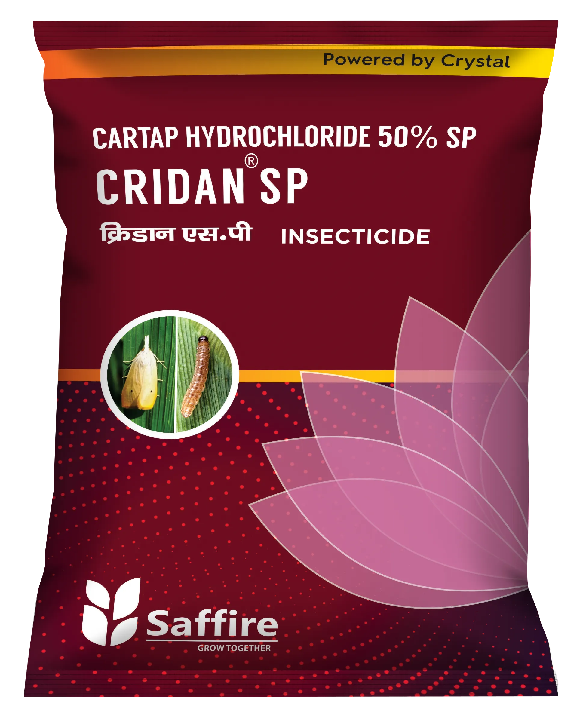 CRIDAN SP